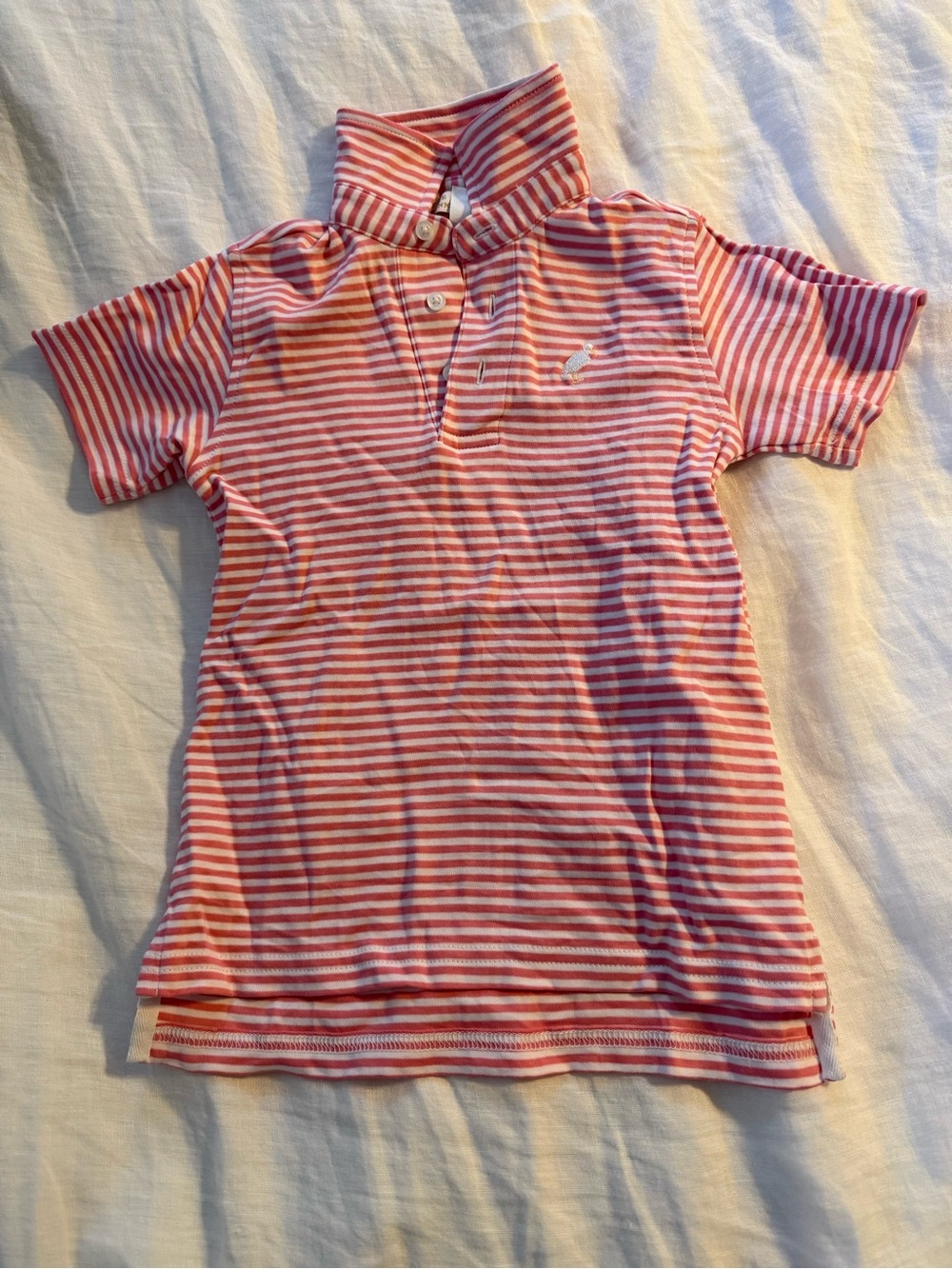tbbc polo